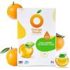 image:imageORANGE HOUSE Laundry Detergent Pods Natural PlantBased Detergent with Orange Oil  Hypoallergenic Free amp Clear ScentFree HE amp Standard Machine Compatible Gentle for Sensitive Skin 54 Count